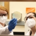 Jovana Kovacevic, right, and Rebecca Bland study listeria in Oregon State University’s Portland laboratory.  Stephen Ward/OSU