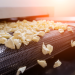 chips on conveyor.  Photo: Food Processing.com